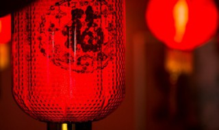 属虎人在牛年运势 属虎人在牛年运势如何