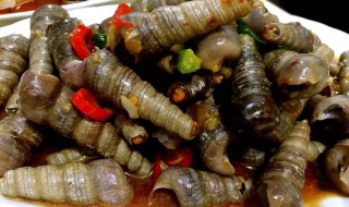 食用锥螺的注意事项 锥螺不能吃部位详解图