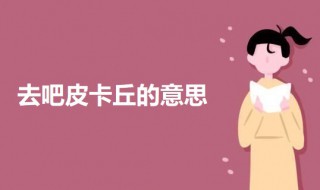 去吧皮卡丘的意思 去吧皮卡丘的意思是不是滚