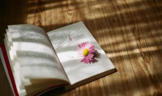 璟字取名的寓意（璟字取名的寓意男孩）