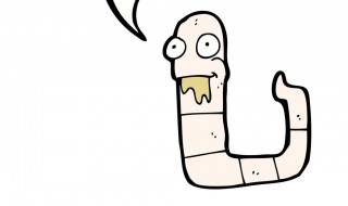 养蚯蚓方法 养殖蚯蚓