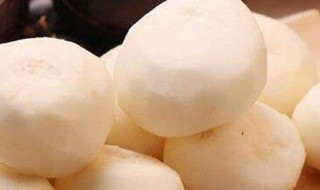 马蹄种植方法（马蹄种植方法和时间）