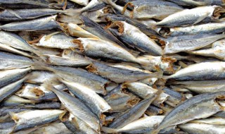 腌鱼干的制作方法（腌鱼干的制作方法窍门）