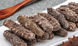 好的海参的鉴别方法 海参的辨别方法