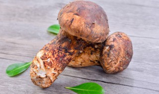 松茸存放方法 松茸的存放