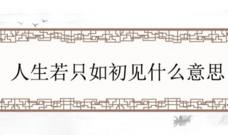 人生只如初见的意思（如若人生只如初见什么意思）
