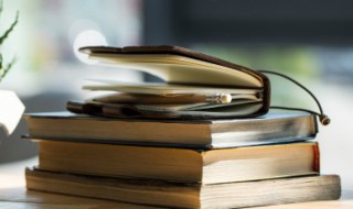 微风什么的成语有哪些（成语微风什么成语）