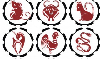 属鼠女牛年运势(属鼠女属牛)