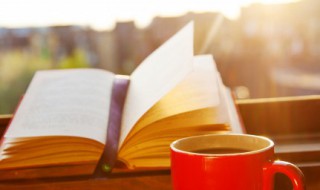 赞美小学校园的简短句子 描述小学校园的优美句子