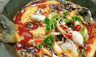 石锅鱼的种类有哪些 石锅鱼都有哪些鱼