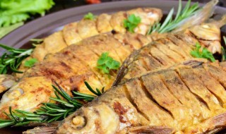 天麻蒸鲤鱼如何做（鲤鱼蒸天麻有什么用）