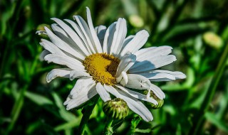 适合发朋友圈纪念逝者的句子 适合怀念逝者的发的朋友圈