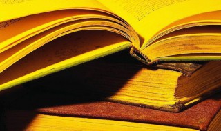 描写颜真卿的经典句子（形容颜真卿的句子）