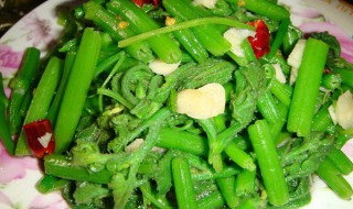 蒜炒嫩南瓜藤如何做（炒南瓜藤怎么炒）