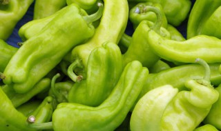 辣椒冷冻保存方法 新鲜辣椒冷冻保存方法