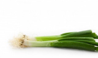 新鲜大葱长期保存方法 大葱怎样长期保存