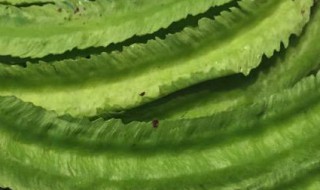 海南四角豆保存方法 三亚四角豆的储存方法