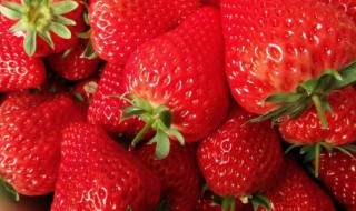 丹东草莓保存方法（冬天丹东草莓可以保存几天）