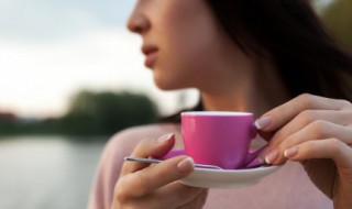 决明子菊苣茶的功效(菊花决明子茶菊苣茶)