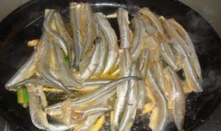 棒棒鱼是什么鱼 棒棒鱼是什么鱼图片