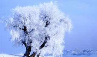 雾凇在哪个省份 雾凇岛在哪个省