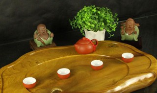 茶宠的讲究 养茶宠有什么讲究
