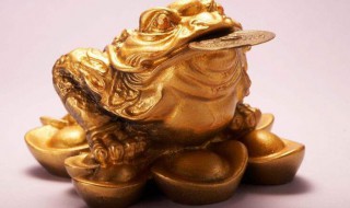 金蟾的摆放方法及禁忌(三脚金蟾的摆放方法及禁忌)