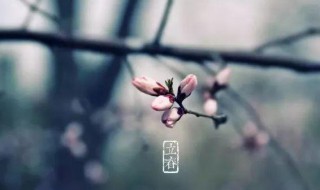 关于立春的古诗 关于立春的古诗词