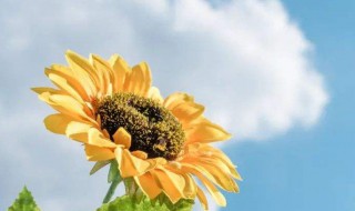 简单大气微信名两个字 简单大气的微信名两个字