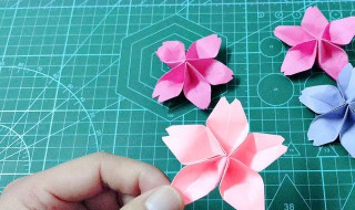 樱花怎么做 盐渍樱花怎么做