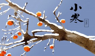 小寒有哪些美食（小寒的美食简介）