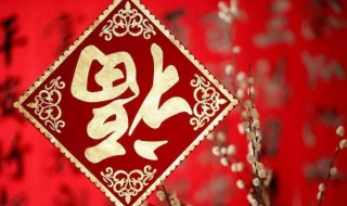 大年初一是什么节日（大年初一是什么过年）