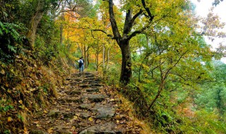 南黄古道徒步路线（南黄古道游玩攻略 时间）