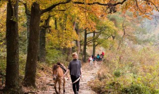南黄古道最佳时间 南黄古道全程几小时