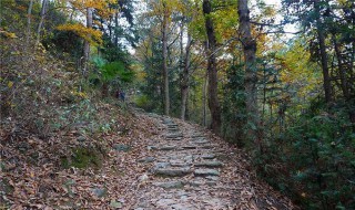 南黄古道攻略(南黄古道在哪)