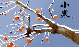 小寒和大寒都是冬季节气大多数情况下哪个时段更冷 小寒和大寒哪个季节更冷呢