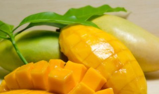 芒果生长在哪里(芒果生长在哪里她在几月份才成熟)