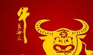 牛年经典短信（牛年的新年短信）