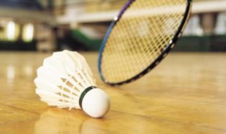 网球和羽毛球哪个最高时速快 网球和羽毛球哪个最高时速是最快的?