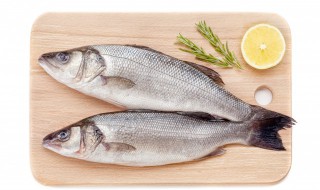 冬天钓鱼实用技巧 冬天钓鱼基本技巧