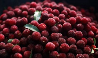 云南杨梅和仙居杨梅区别(仙居杨梅和茶山杨梅)