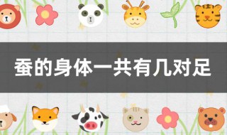 蚕的身体一共有几对足（蚕有几只足）