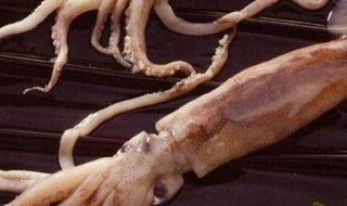 鱿鱼怎么洗才干净（鱿鱼怎样洗才干净）