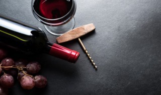 红酒烤鸭腿如何做（红酒鸭腿的做法大全）