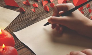 描写冬梅的优美的句子 描写冬梅的语段