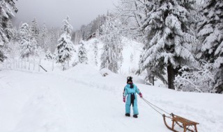 描写初冬落叶景色的句子(秋冬落叶的景色描写)