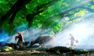 岁月静好做微信名怎样(岁月静好微信名字是什么意思)