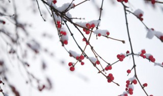 微博文案冬季唯美句子(微博文案走心句)