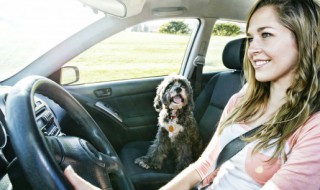 汽车空调制冷不制热怎么解决 汽车空调不制热怎么办