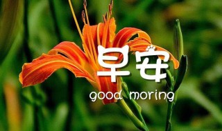 早安语录男朋友（男朋友的早安语）